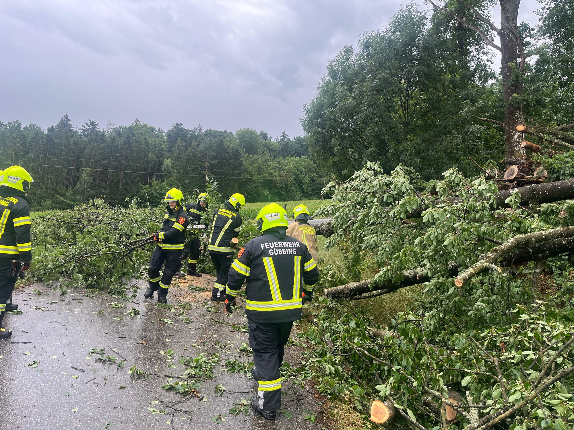 Feuerwehr Güssing im Einsatz nach Sturmschaden mit umgestürzten Bäumen auf einer Straße.